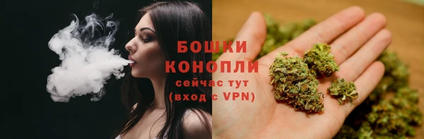 соль ск Новокубанск
