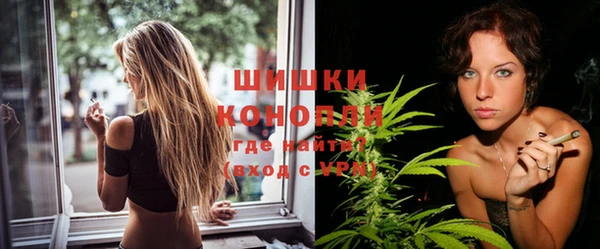 каннабис Новозыбков